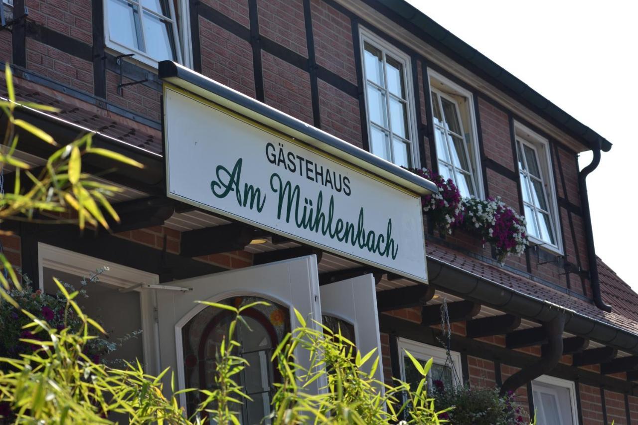 Ferienparadies Muehlenbach 索尔陶 外观 照片