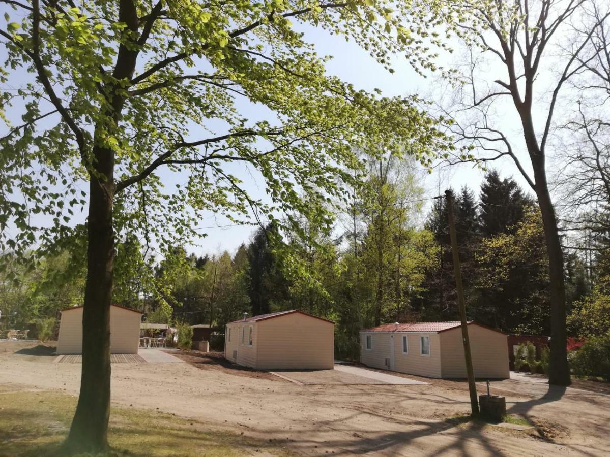 Ferienparadies Muehlenbach 索尔陶 外观 照片