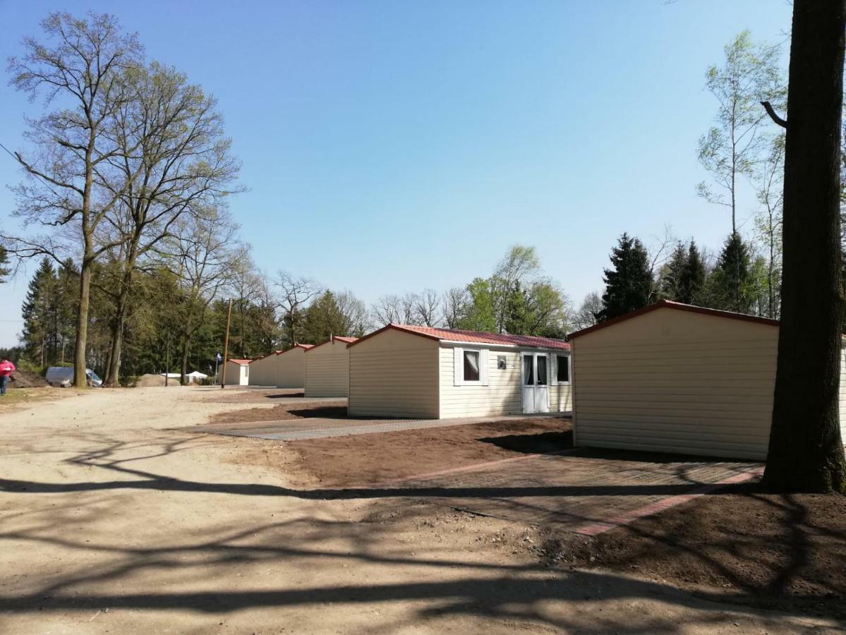 Ferienparadies Muehlenbach 索尔陶 外观 照片